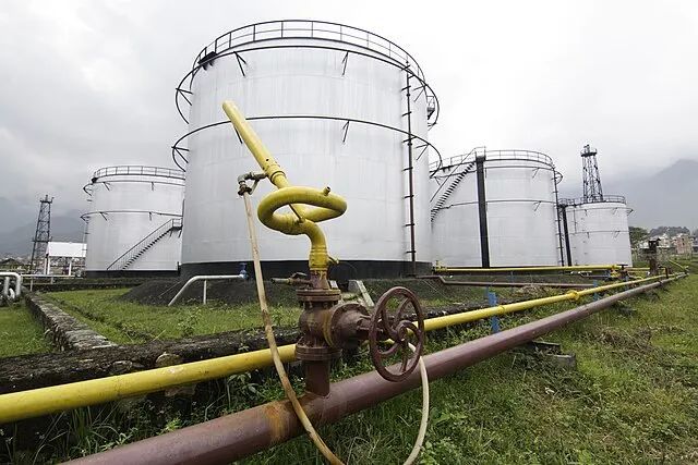 实锤了！茶叶可以吸附铅离子，保障健康