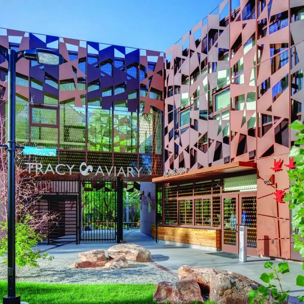 你可能也参加过的防鸟撞项目，最近发了个论文！