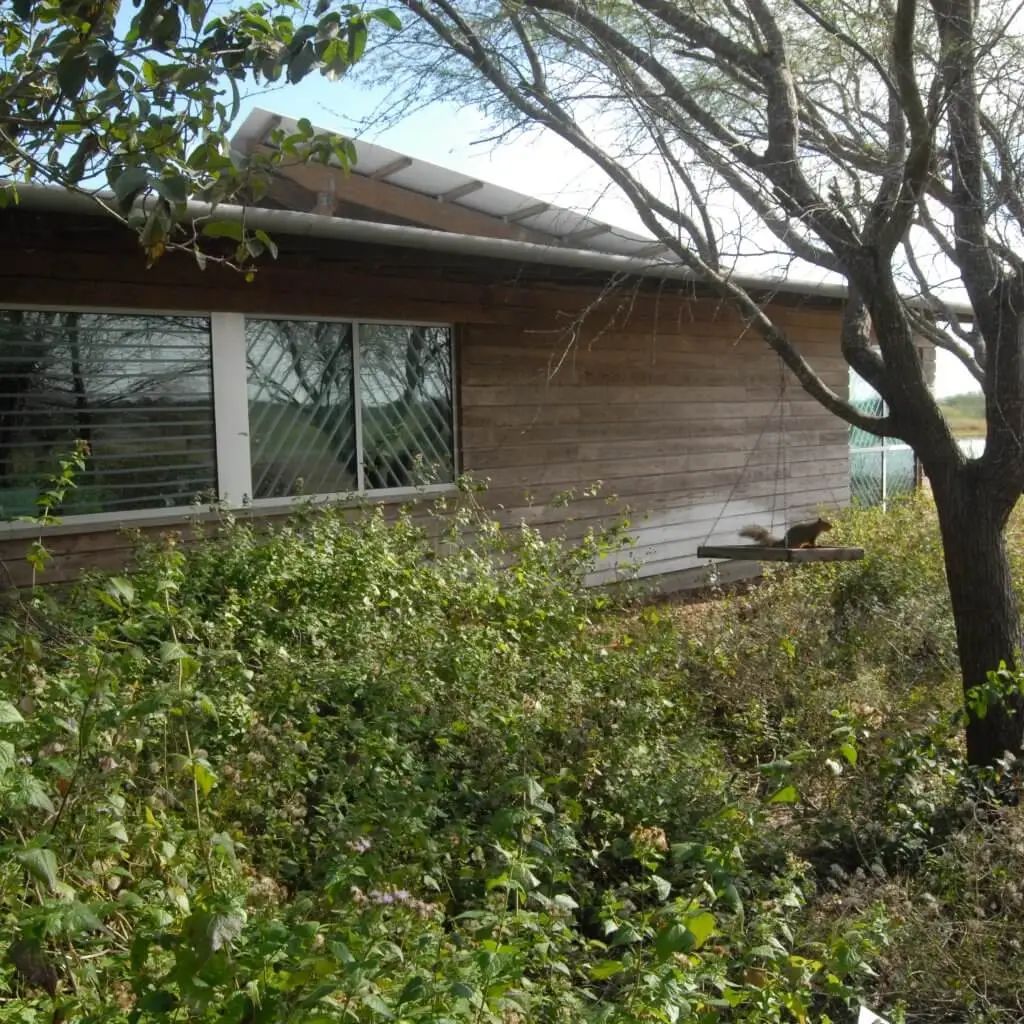 你可能也参加过的防鸟撞项目，最近发了个论文！