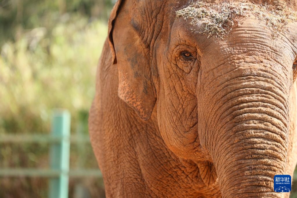 走进摩洛哥拉巴特动物园