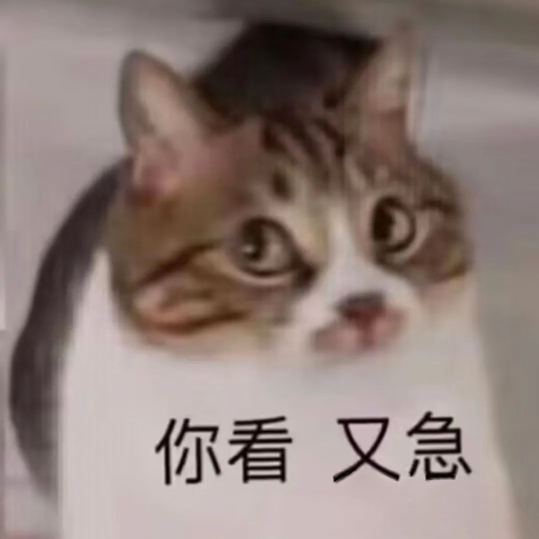 夫妻准备出国，却突然被警察拦下，真相是……