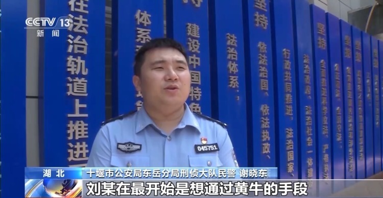 冒充老师收费、花钱上名校、免试读研……录取季警惕这几类诈骗