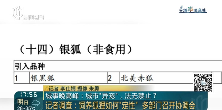 上海一小区惊见异宠！邻居担忧，主人淡定：“我认为它觉得自己是狗”