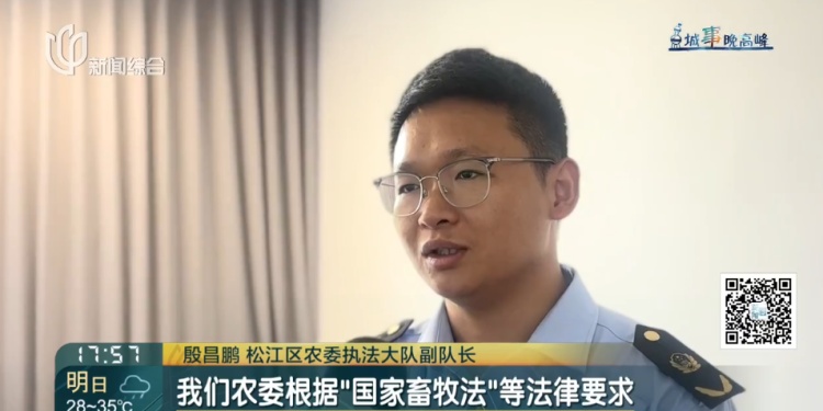 上海一小区惊见异宠！邻居担忧，主人淡定：“我认为它觉得自己是狗”