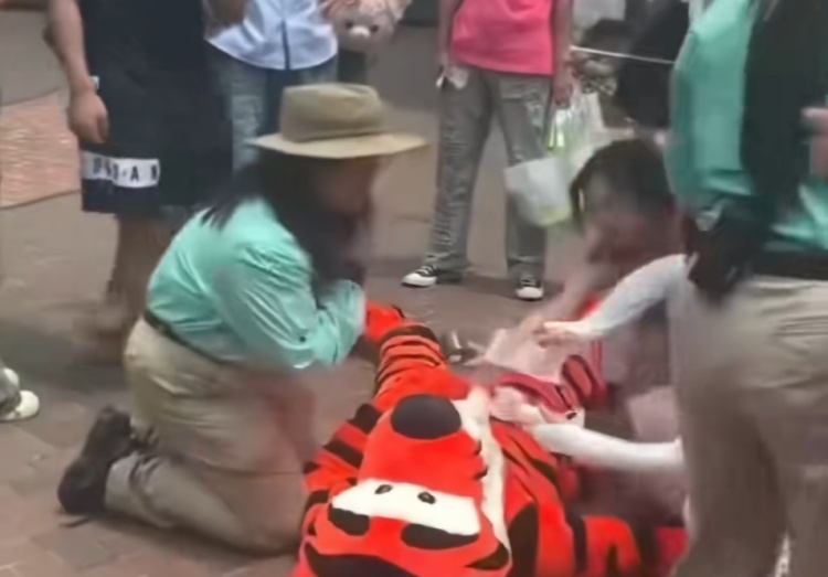 上海迪士尼一演职人员晕厥倒地！园方回应