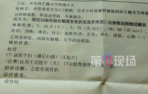 “没想到海里会有野猪!”女子被撞致骨折 “没想到海里会有野猪!”女子被撞致骨折