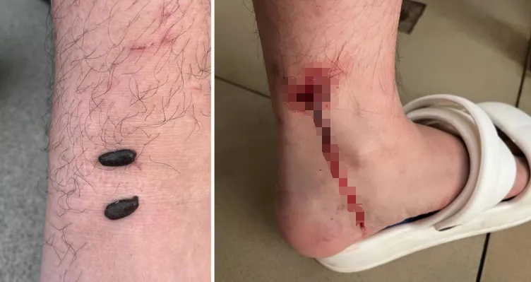 “妈,摄像头坏掉了!我们打语音吧” “妈,摄像头坏掉了!我们打语音吧”