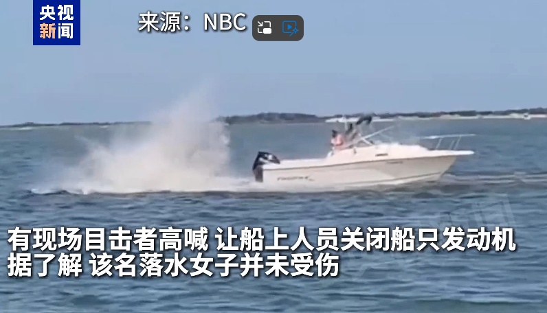 美国一鲸鱼与游船相撞，猛烈挣扎后死亡！船上一名女子落水，并未受伤