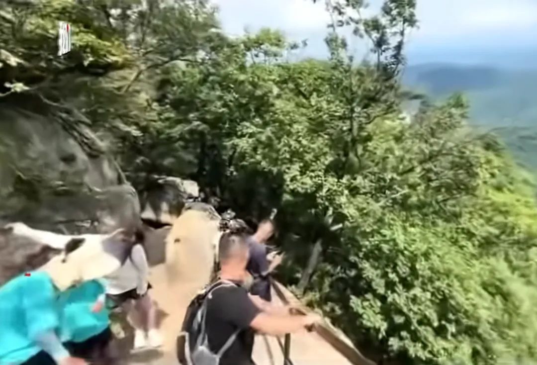 一景区游客坠崖身亡，妻子眼睁睁看着丈夫掉下悬崖，当地多部门已介入