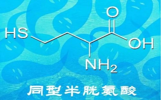 叶酸不是孕妇专属