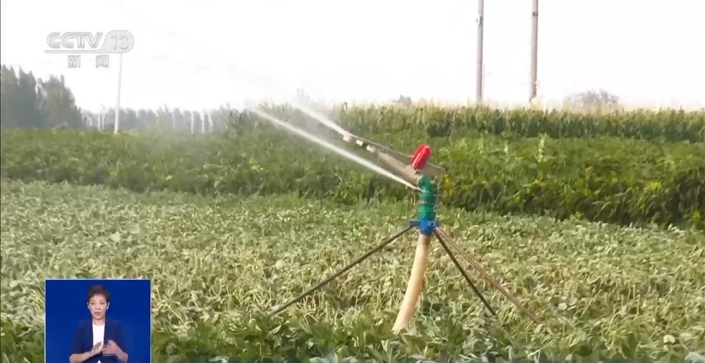 “地下地上”双线抗旱 豫东豫南多举措保障农业生产