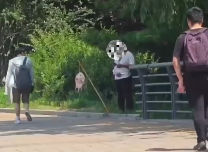 不能吃！多地街头出现，专家紧急呼吁