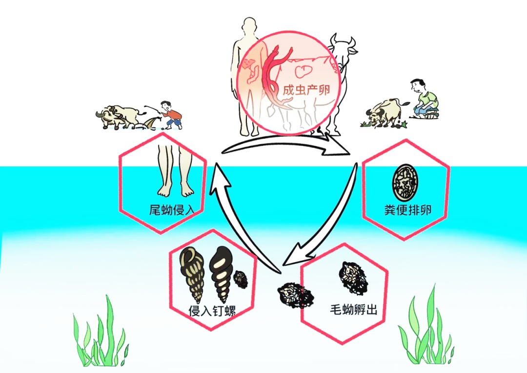 局部特大暴雨!广东“暴雨套餐”持续上线! 局部特大暴雨!广东“暴雨套餐”持续上线!