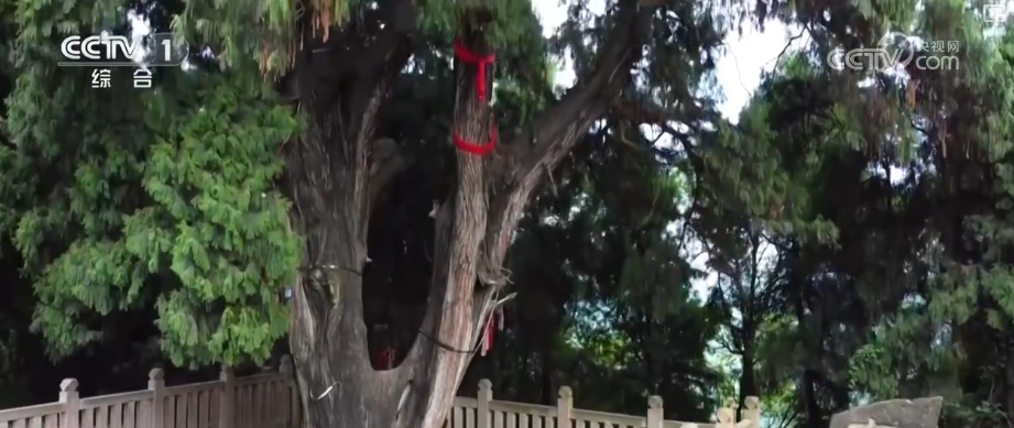 多样化细致服务应对“烤”验 筑牢安全线保障民生、守护秋粮生产