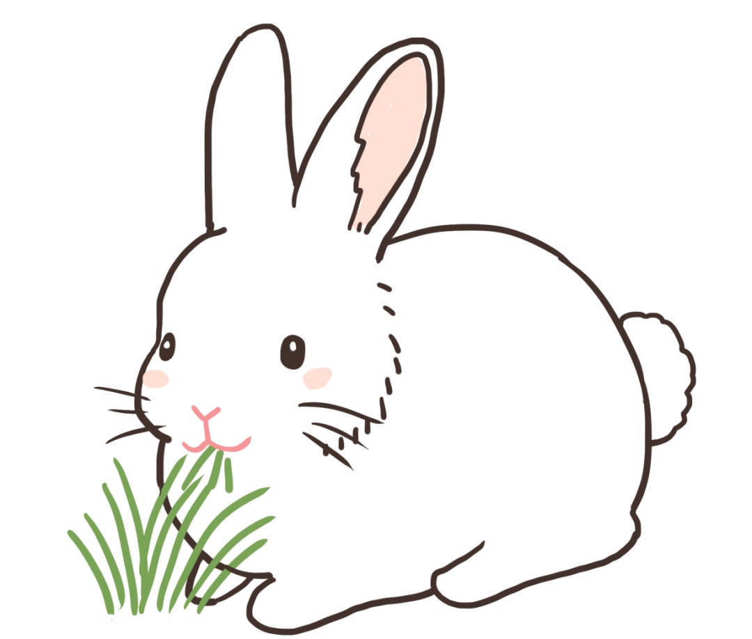 兔子耳朵断了还能长回来？科学家发现哺乳动物再生的隐藏开关