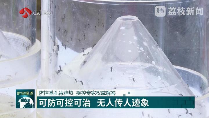 防控基孔肯雅热 疾控专家权威解答 防控基孔肯雅热 疾控专家权威解答