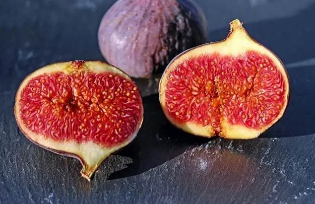 这种无花果树能把二氧化碳变成石头，果子还超好吃？