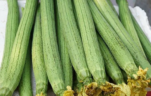 发现马上扔! 有一家四口吃了被放倒! 医生: 煮熟也没用