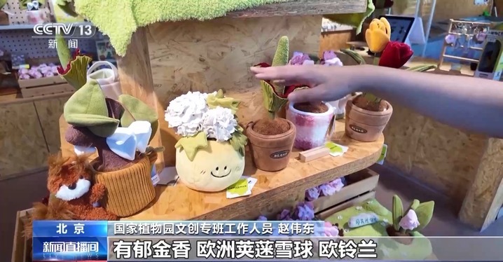 永不凋谢的花、被紫光灯“照活”的蝴蝶 博物馆文创“暗藏玄机” 永不凋谢的花、被紫光灯“照活”的蝴蝶 博物馆文创“暗藏玄机”