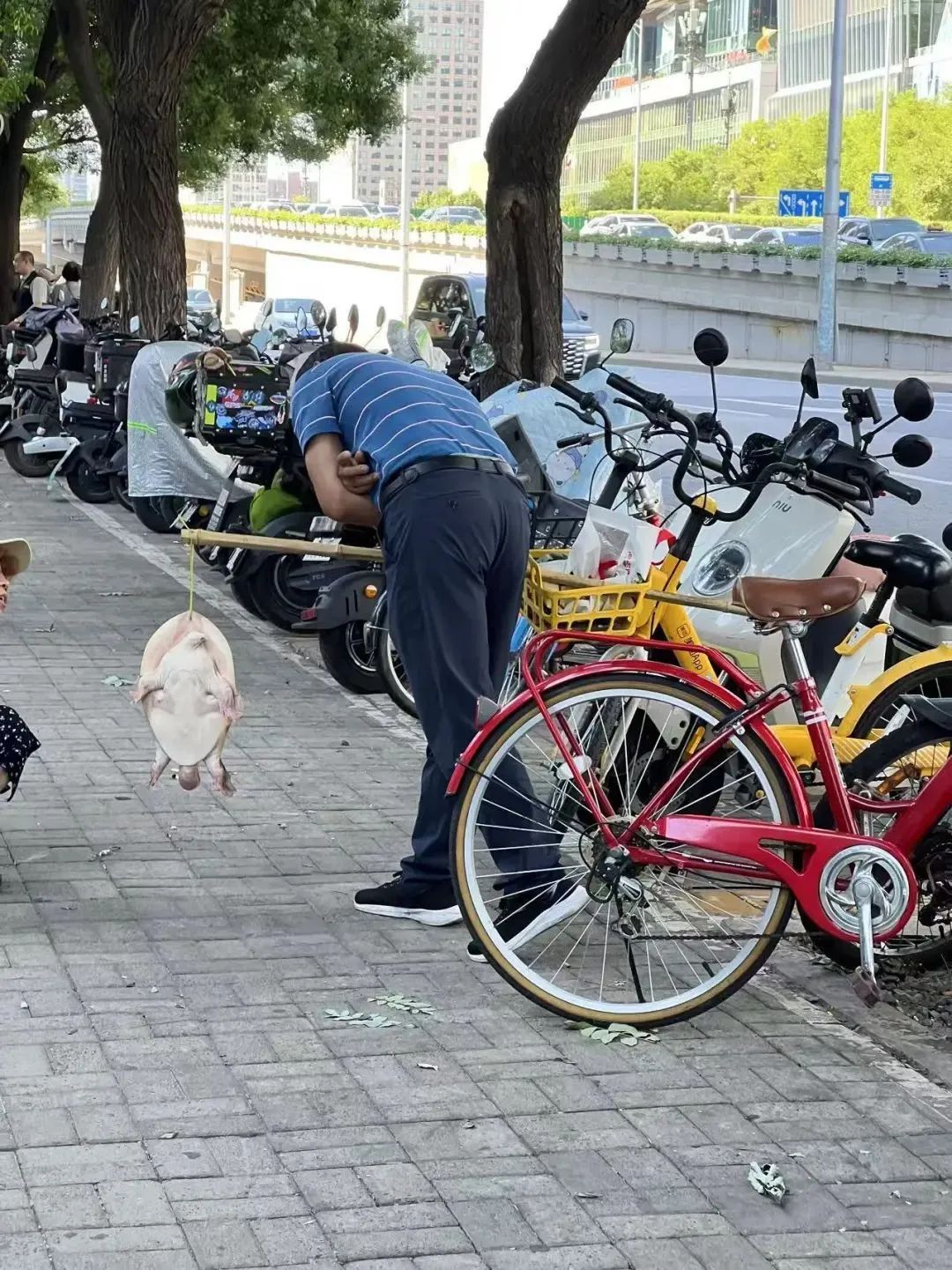不能吃！多地街头出现，浙江也有人看到了！专家急呼：放生危害更大