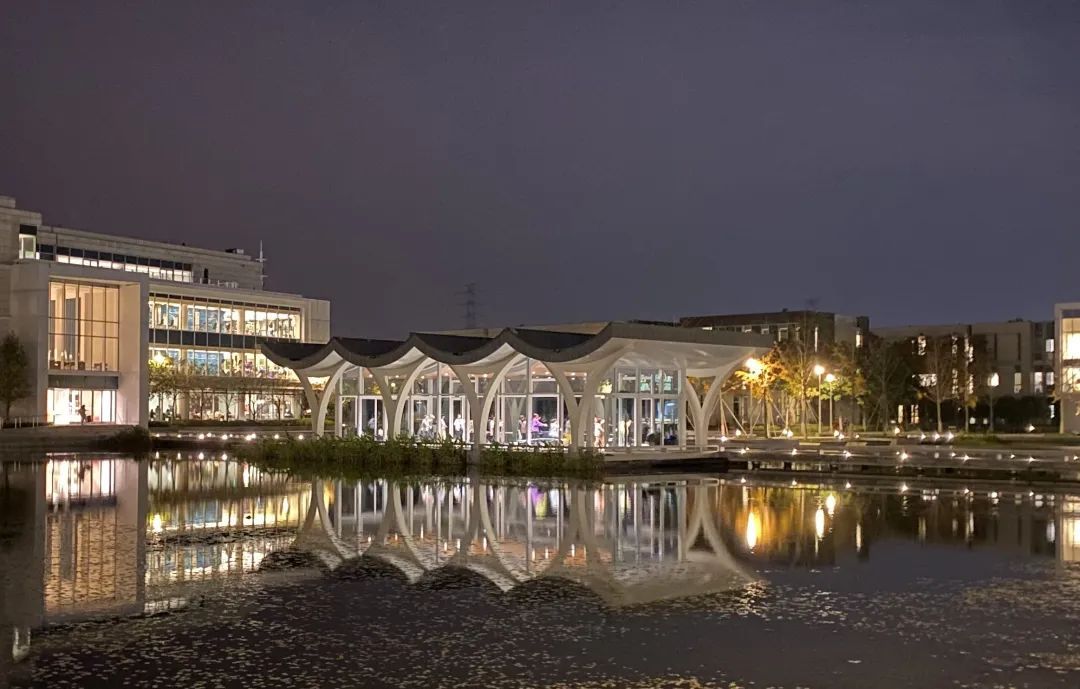 你可能也参加过的防鸟撞项目，最近发了个论文！