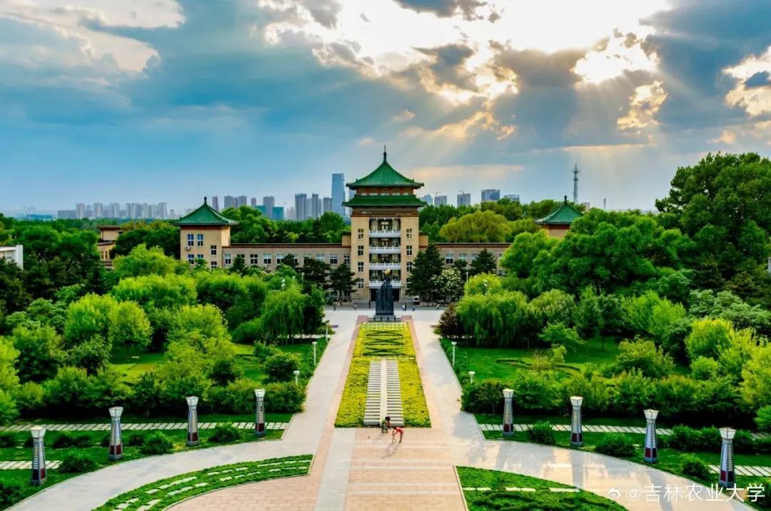 起猛了！看到有人在吃“录取通知书”……