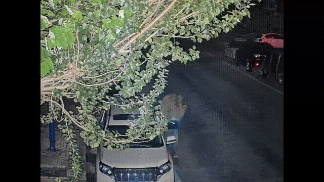 内蒙古两男子半夜干这种事，一晚上能赚好几百，已拘留！