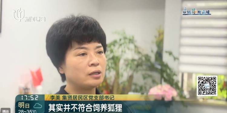 上海一小区惊见异宠！邻居担忧，主人淡定：“我认为它觉得自己是狗”