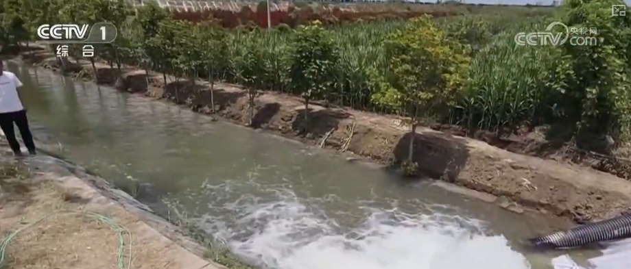 多样化细致服务应对“烤”验 筑牢安全线保障民生、守护秋粮生产