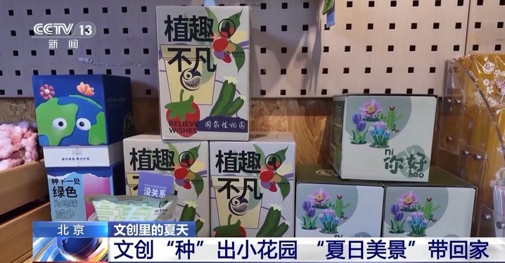 永不凋谢的花、被紫光灯“照活”的蝴蝶 博物馆文创“暗藏玄机” 永不凋谢的花、被紫光灯“照活”的蝴蝶 博物馆文创“暗藏玄机”