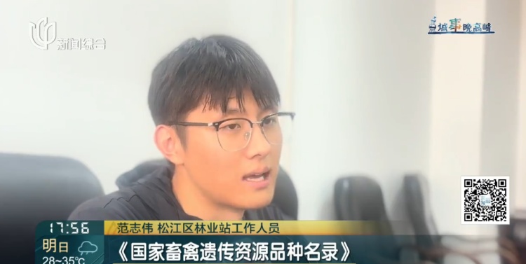 上海一小区惊见异宠！邻居担忧，主人淡定：“我认为它觉得自己是狗”