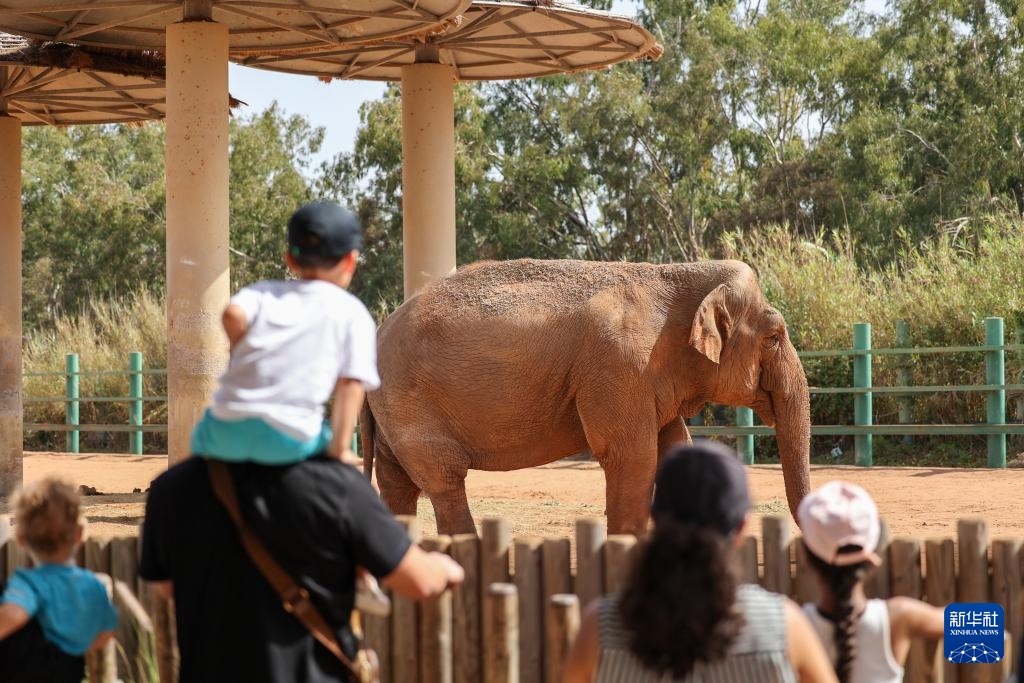 走进摩洛哥拉巴特动物园