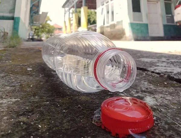 7天新增2892例，广东全省灭蚊中！提醒：室内或藏蚊子“产房”，发现幼虫别倒下水道