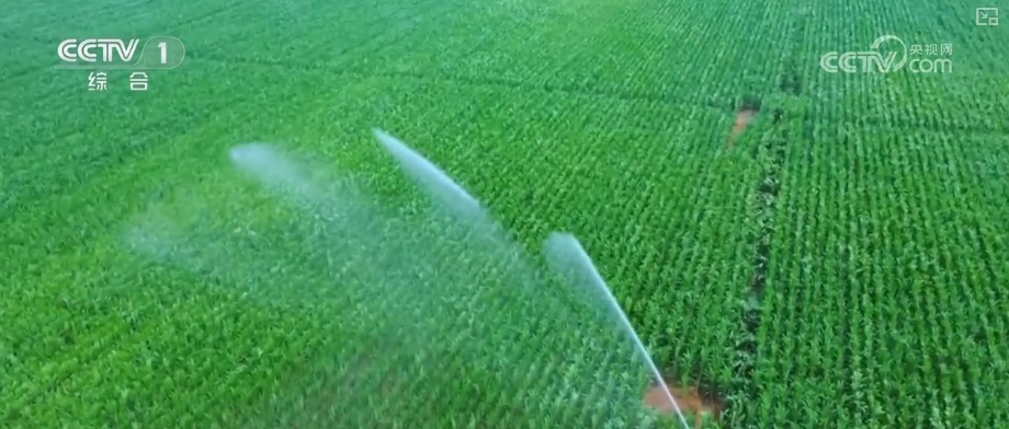 多样化细致服务应对“烤”验 筑牢安全线保障民生、守护秋粮生产