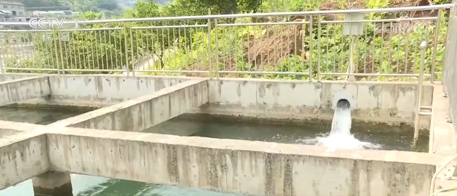 多样化细致服务应对“烤”验 筑牢安全线保障民生、守护秋粮生产