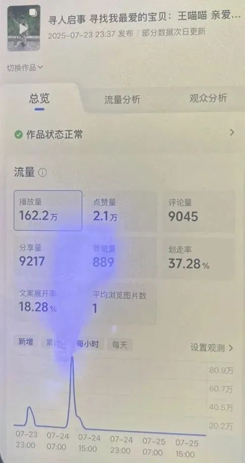 男子王某某（未婚未育），编造“女儿王喵喵走失”，已被拘留！