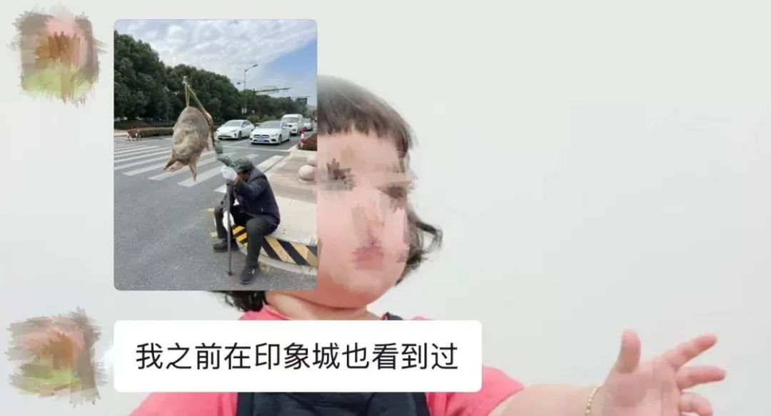 不能吃！多地街头出现，浙江也有人看到了！专家急呼：放生危害更大
