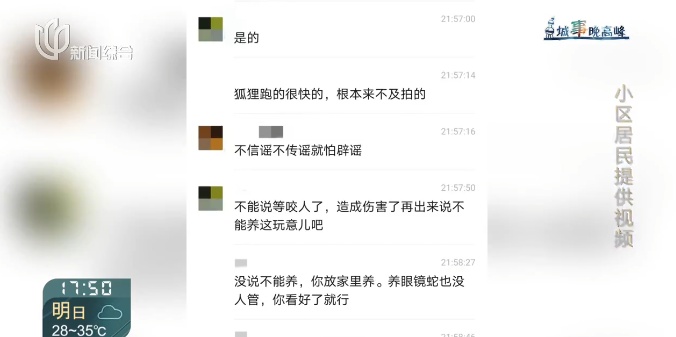 上海一小区惊见异宠！邻居担忧，主人淡定：“我认为它觉得自己是狗”