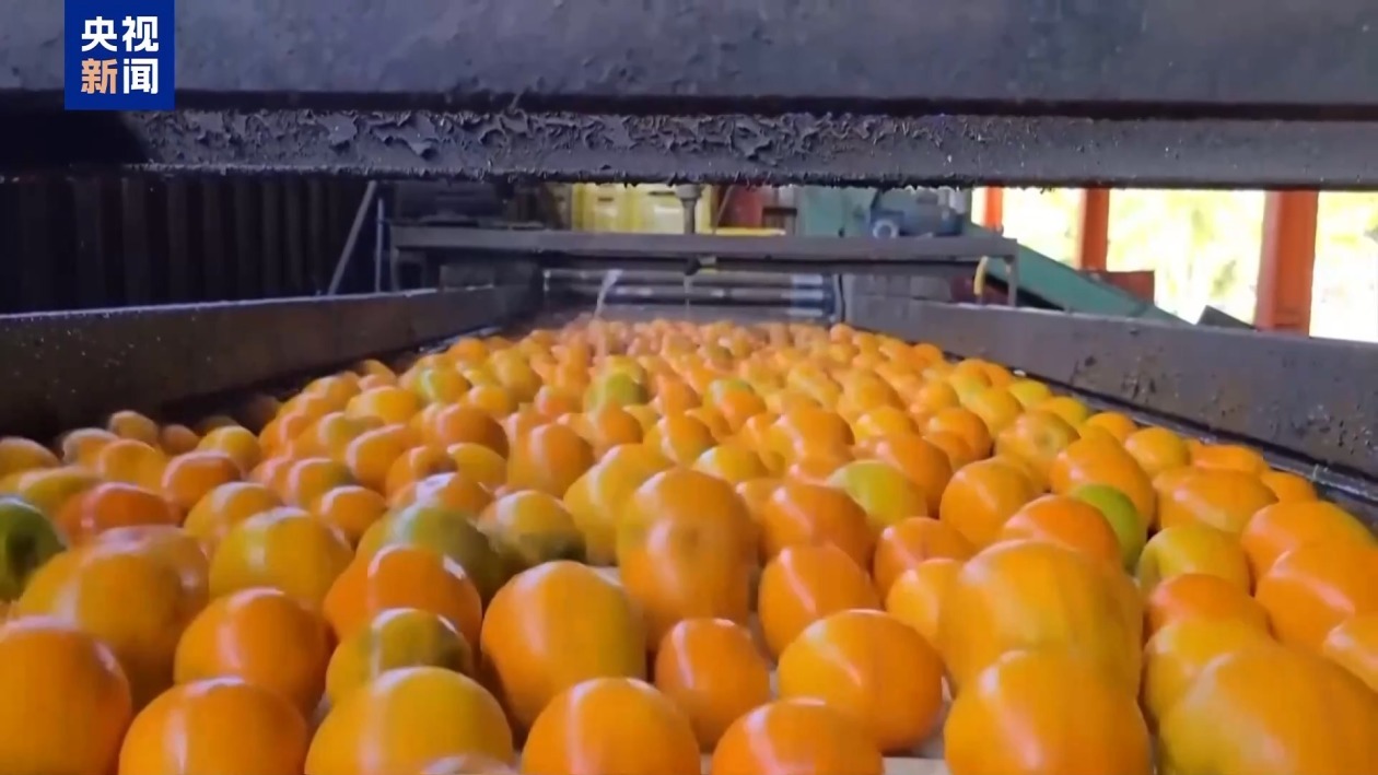 巴西总统回应美加征关税：我们是平等的 巴西不会屈服