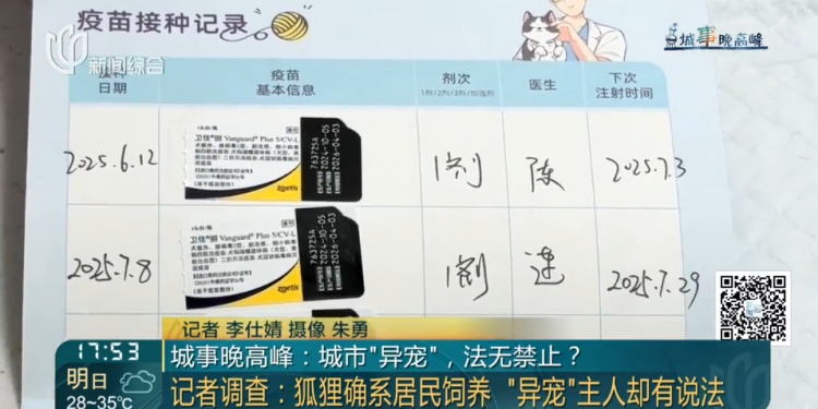 上海一小区惊见异宠！邻居担忧，主人淡定：“我认为它觉得自己是狗”