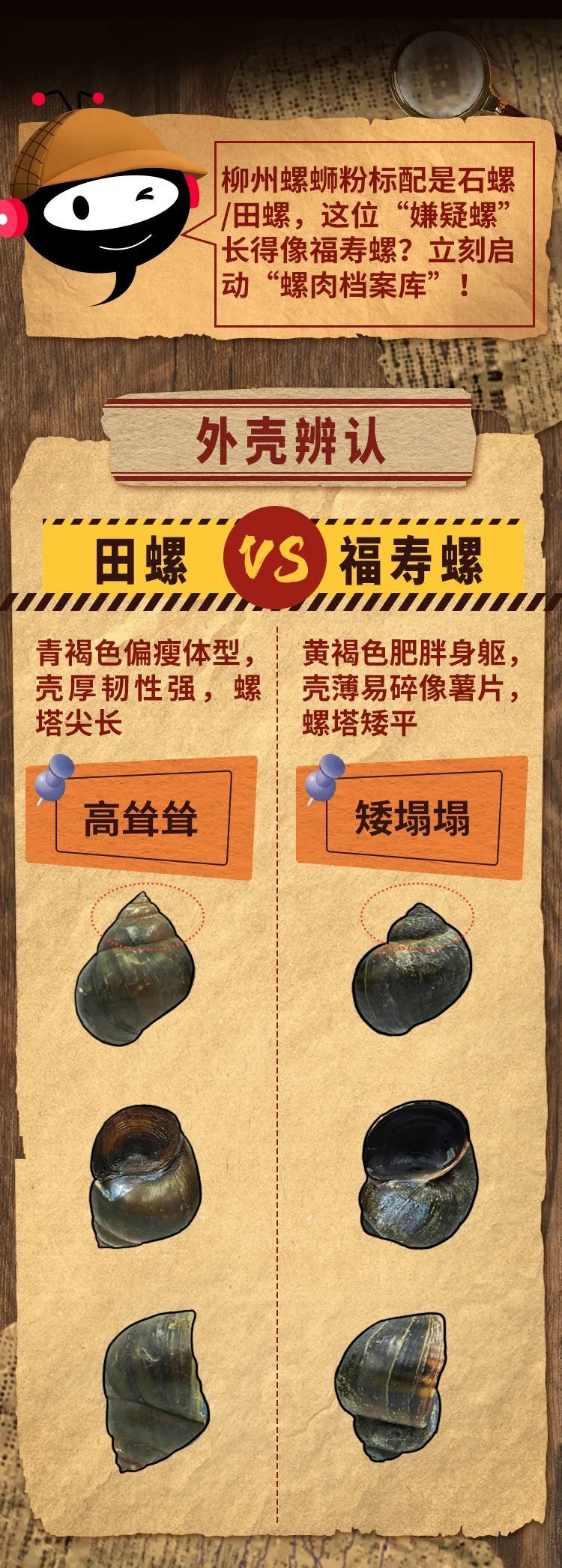 蝌蚪调查组 | 螺蛳粉里吃到了福寿螺怎么办？