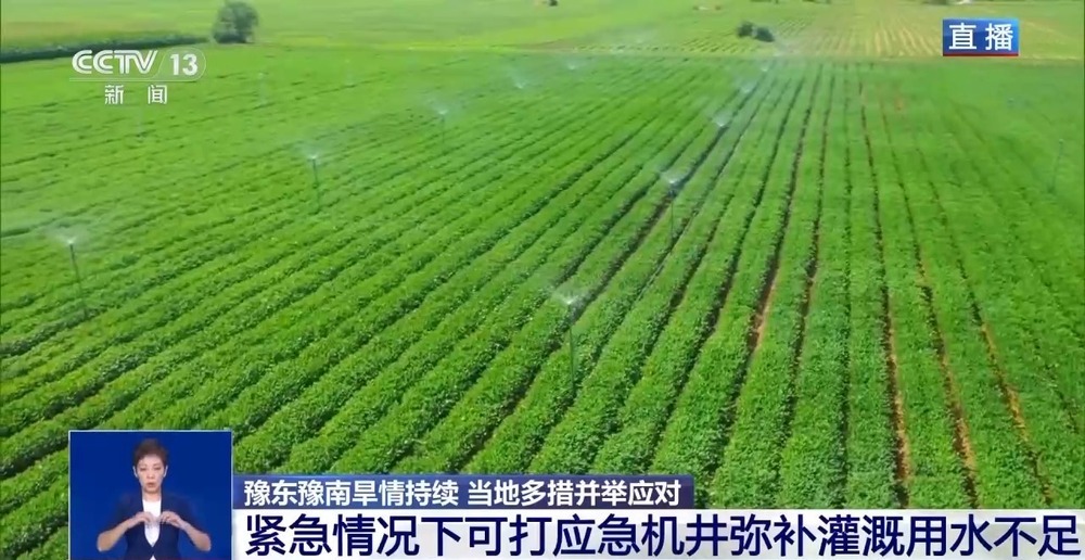 “地下地上”双线抗旱 豫东豫南多举措保障农业生产
