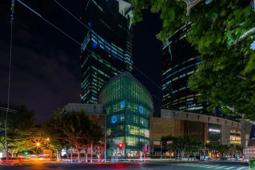 你可能也参加过的防鸟撞项目，最近发了个论文！