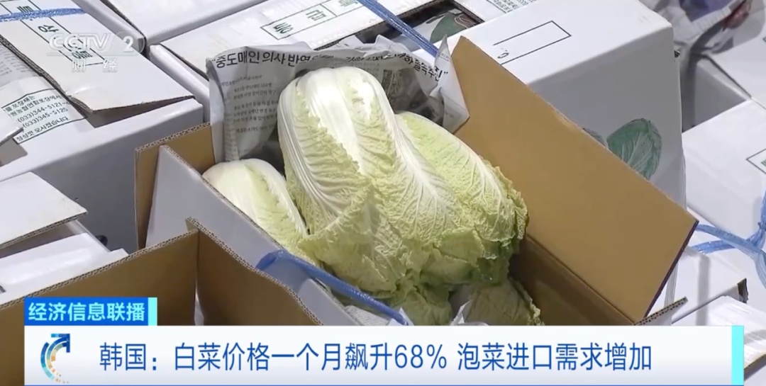 韩国，白菜价格飙涨！