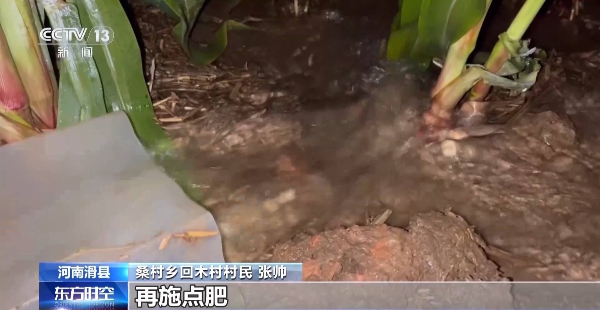 河南7月平均气温破64年最高纪录 农业生活用水是否被影响?何时缓解? 河南7月平均气温破64年最高纪录 农业生活用水是否被影响?何时缓解?