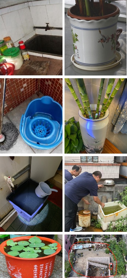 动起来！室内外所有蚊虫孳生地，7招快速清除→