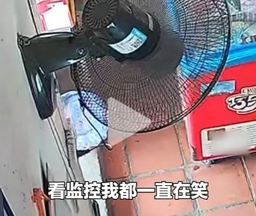 双向奔赴的恐惧！男子遇蛇尖叫，把蛇吓到落荒而逃……
