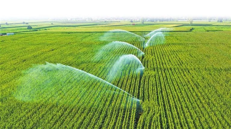 雨在路上！抗旱保秋，河南怎么做？