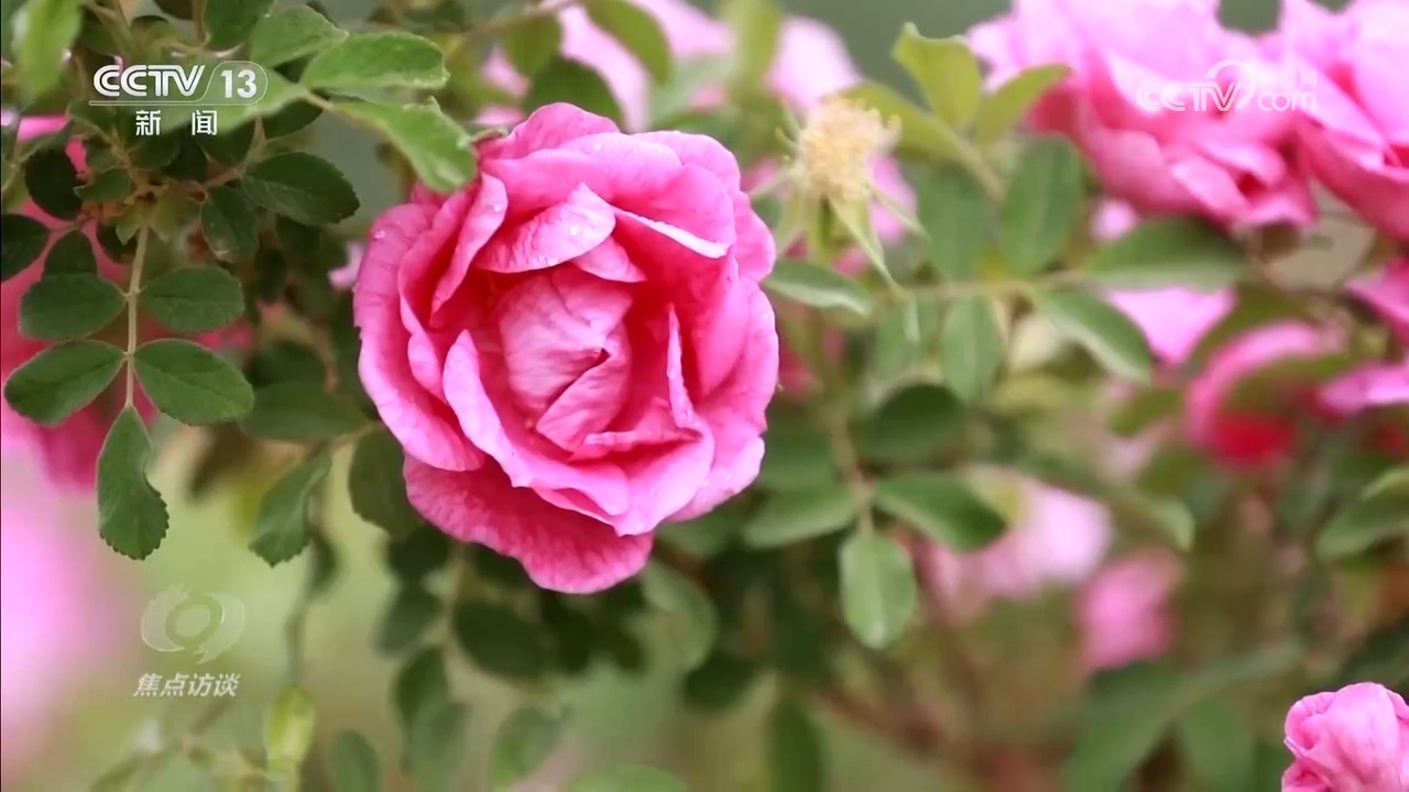 新疆突破想象的蜕变，藏着中国西部腾飞密码