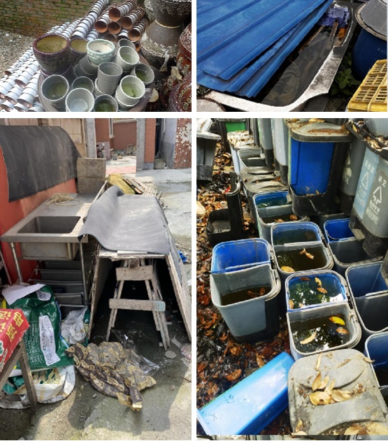 动起来！室内外所有蚊虫孳生地，7招快速清除→